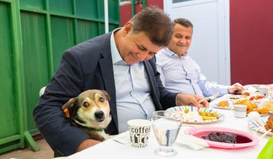 Cemil Tugay’dan sokak hayvanları vaadi: Kısırlaştırma yapacağız