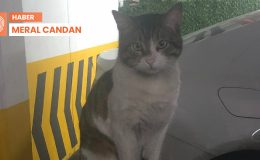 İyi hal indirimine itiraz: Eros’u katleden İbrahim Keloğlan yeniden yargılanacak