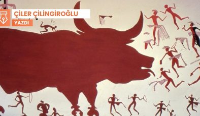 Kutsaldan yok oluşa: Yaban sığırının çok acıklı hikayesi