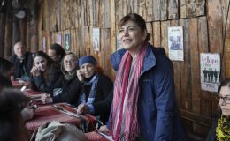 Meral Danış Beştaş: Çekilecek olsaydım aday olmazdım