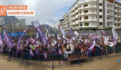 Van’da dünya kadınlar günü mitingi düzenlendi