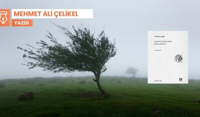 Yaşama katlanma dersleri: Barış Ağır’ın toplu şiirleri