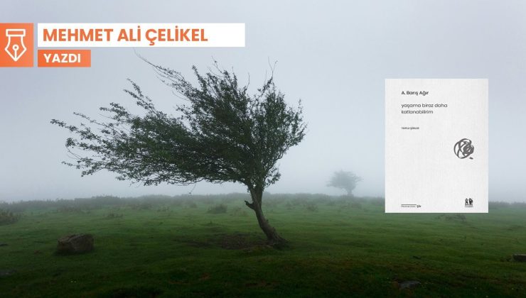 Yaşama katlanma dersleri: Barış Ağır’ın toplu şiirleri