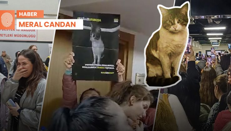 Eros davasından izlenimler: ‘Katil Keloğlan’ öldürdü, adalet de öldürdü