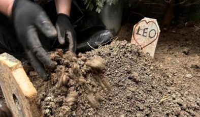 Köpek ölümü nedeniyle fenomen Banu Parlak’a 4 bin 800 lira para cezası