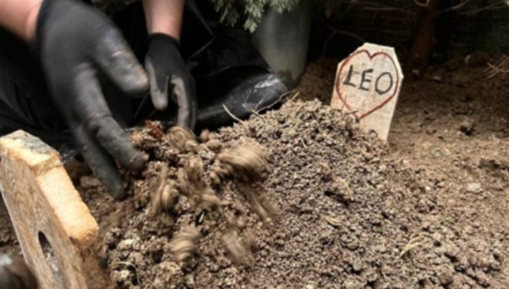 Köpek ölümü nedeniyle fenomen Banu Parlak’a 4 bin 800 lira para cezası