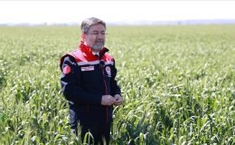 Bakan Yumaklı’dan, peyzajda çim yerine ‘kuraklığa dayanıklı bitki’ kullanın çağrısı