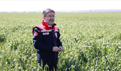 Bakan Yumaklı’dan, peyzajda çim yerine ‘kuraklığa dayanıklı bitki’ kullanın çağrısı