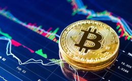 Bitcoin dolandırıcılığı davası: Mağdurlar suçlu