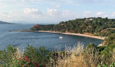 Burgazada’da bulunan Martha Koyu tehlikede: Yeniden özel kişilere kiralanacak