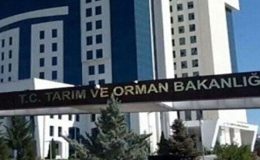 Gıda denetimleri yapılıyor: Bir şehirde at ve eşek eti tespit edildi