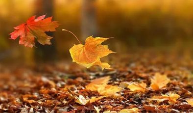 Hiç kimseye bir mektup