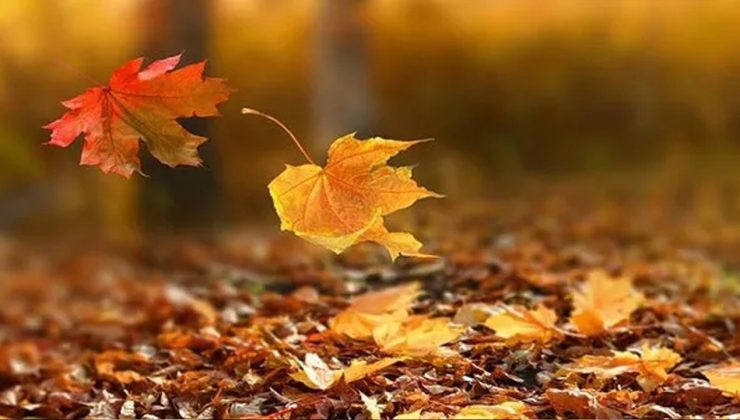 Hiç kimseye bir mektup