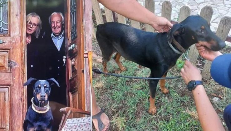 Korhan Berzeg’den 300 gündür haber yok: Ailesi evi kapattı