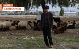 Bir çoban masalı: 100 bin lira maaşı kim veriyor?