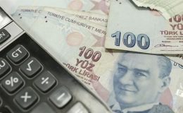 Bitkisel ve hayvansal kredilerde değişiklik
