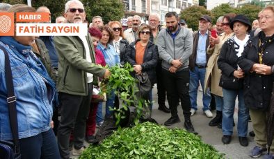 Çay fiyatı tat kaçırdı: Zeytine eşdeğerdi, şimdi ekmeğe yetmiyor