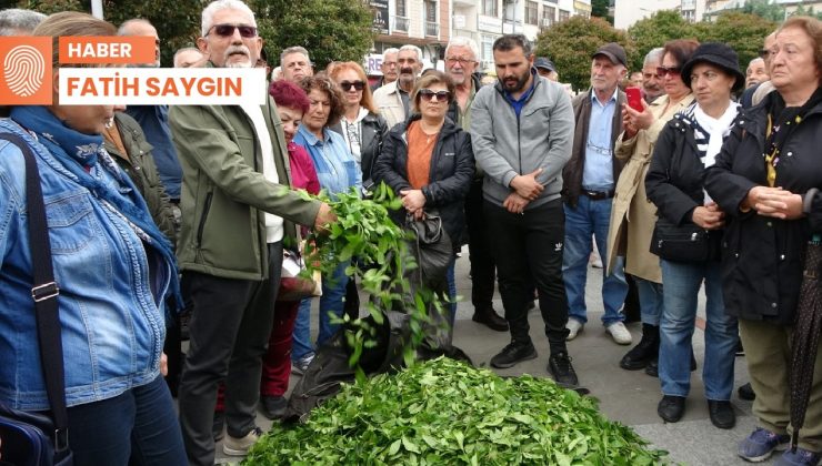 Çay fiyatı tat kaçırdı: Zeytine eşdeğerdi, şimdi ekmeğe yetmiyor