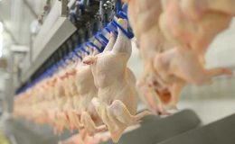 Tavuk eti ihracatına sınırlama getirildi: 1 Mayıs’ta başlıyor