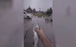 Teyit inceledi: İran’da gökten balık yağdığını gösteren video gerçek mi?