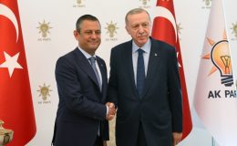 TİP: ‘Yumuşama’ bir oyun, Erdoğan daha da otoriterleşecek