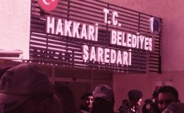 THİV’den kayyum tepkisi: Tüm topluma parmak sallanıyor
