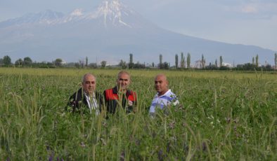 Tuz Gölü Havzası’nda tasarruf projesi: 120 milyon ton su kurtarılacak