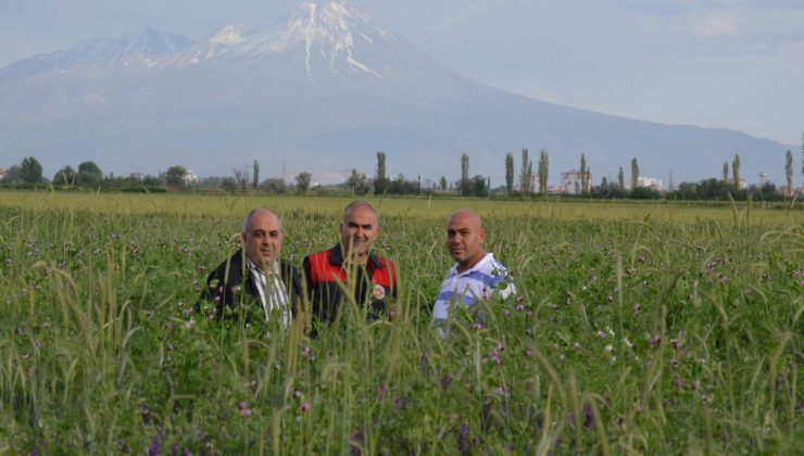 Tuz Gölü Havzası’nda tasarruf projesi: 120 milyon ton su kurtarılacak