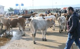 Uzmanından kurbanlık uyarıları: Atıklar gelişigüzel atılmamalı
