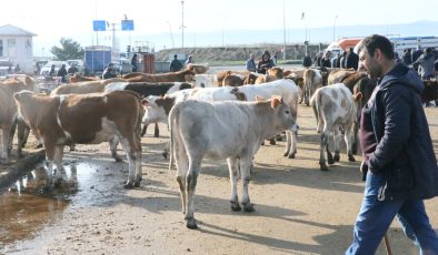 Uzmanından kurbanlık uyarıları: Atıklar gelişigüzel atılmamalı