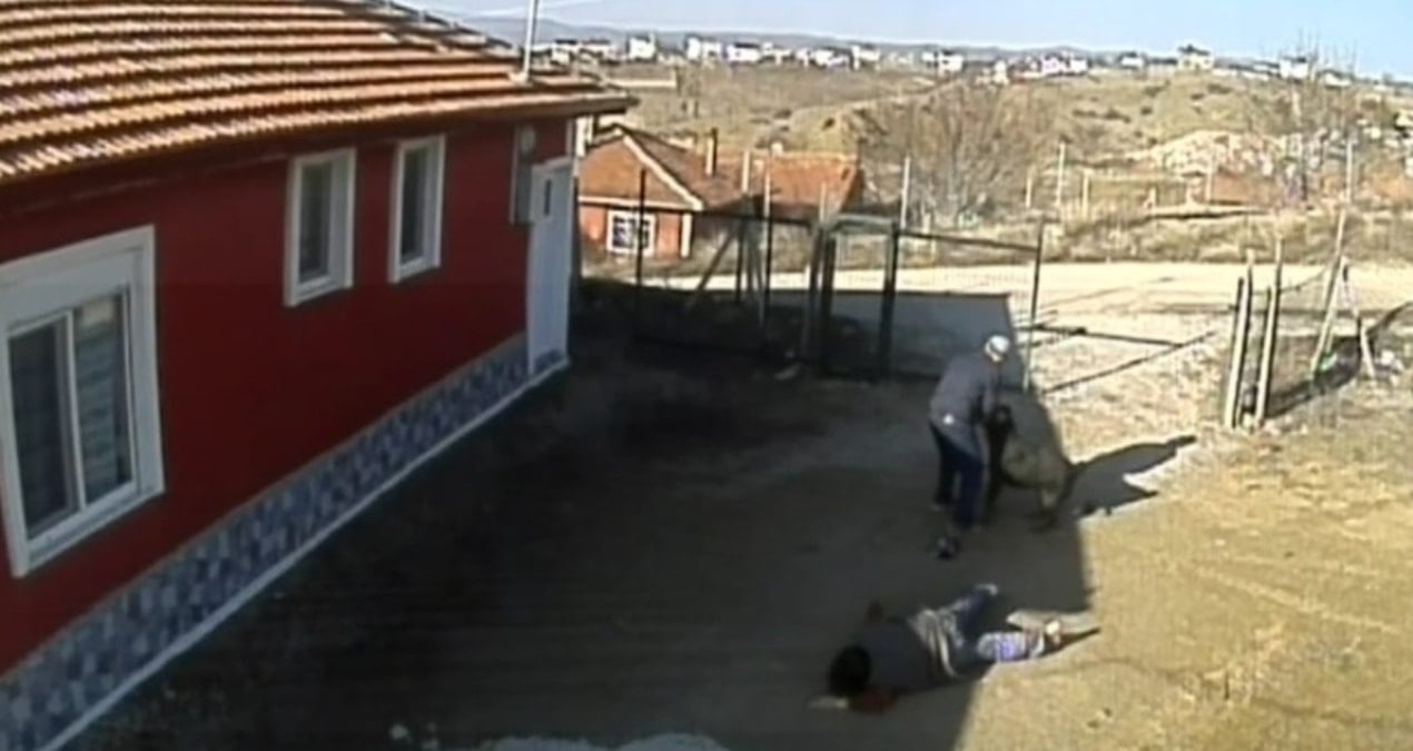 Çorum’da köpek dehşet saçtı! Üç kişi yaralandı