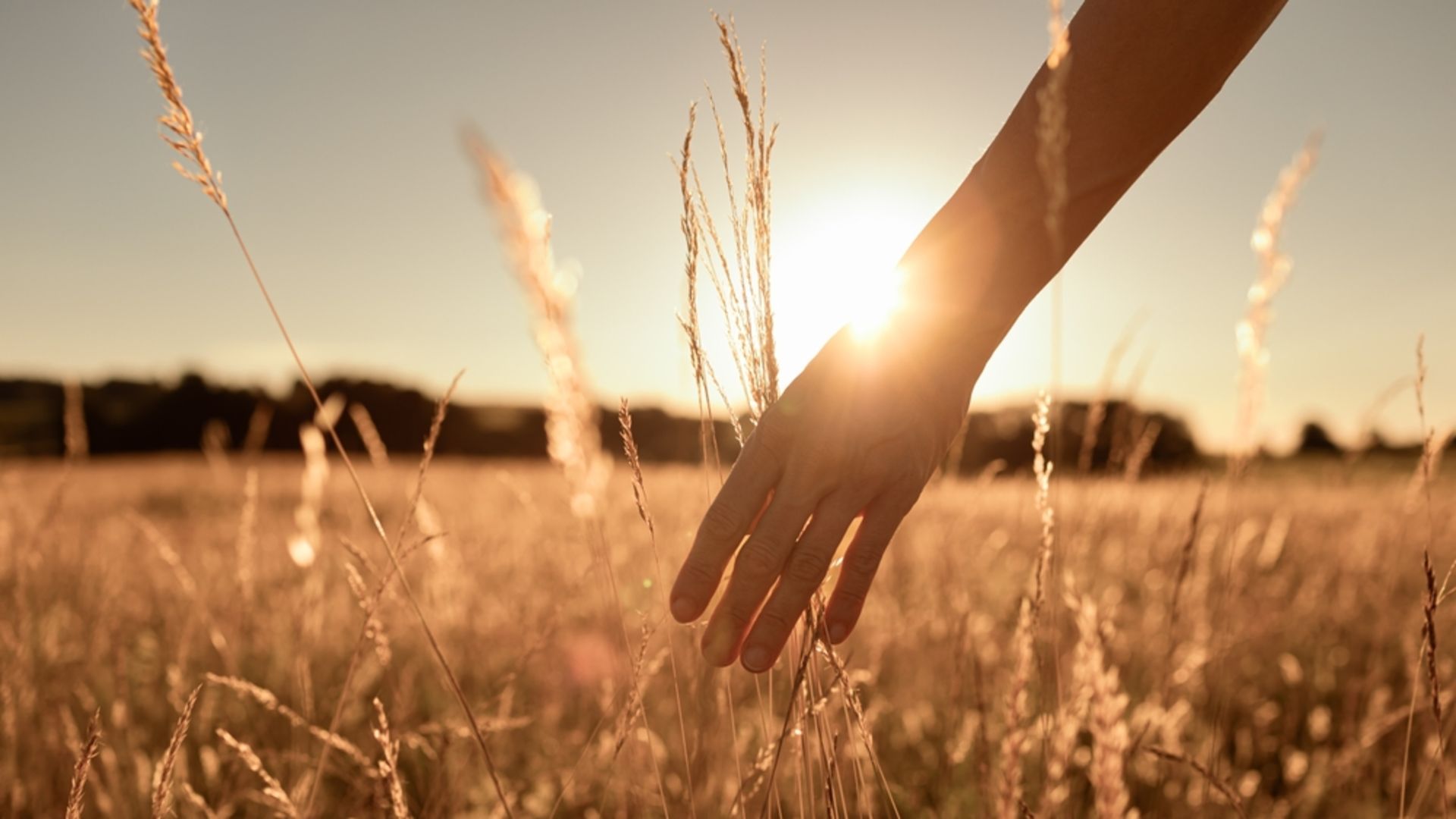 Hayat enerjinizi artırmanın 9 yolu